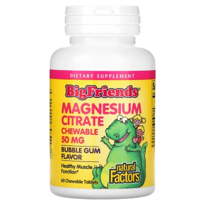 Natural Factors Big Friends Magnesium Citrate Bubblegum 50mg 60 Chewable Tablets