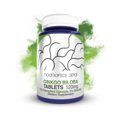 Nootropics Depot Ginkgo Biloba Extract 120mg 90 Tablets