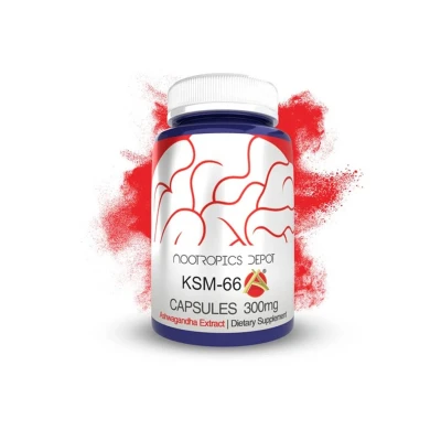 Nootropics Depot Ksm-66 300mg 365 Capsules