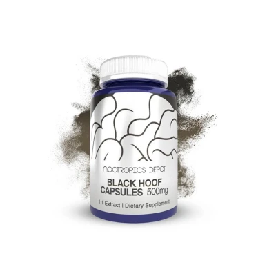 Nootropics Depot Black Hoof 500mg 60Oct Capsules