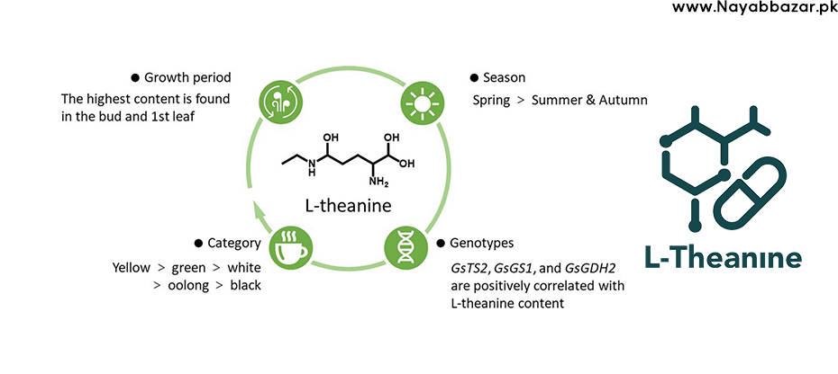 L-Theanine
