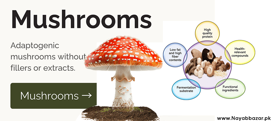 Mushrooms