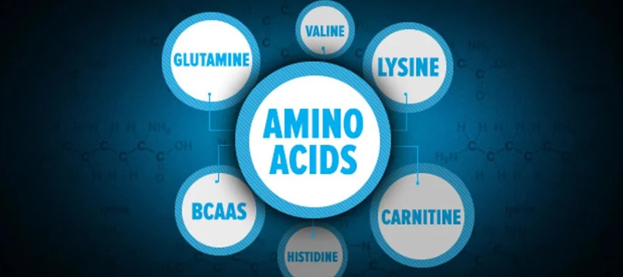 Amino Acids