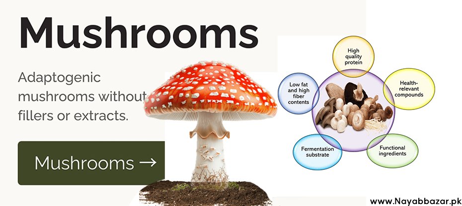 Mushrooms