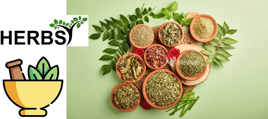 Herbal Supplements